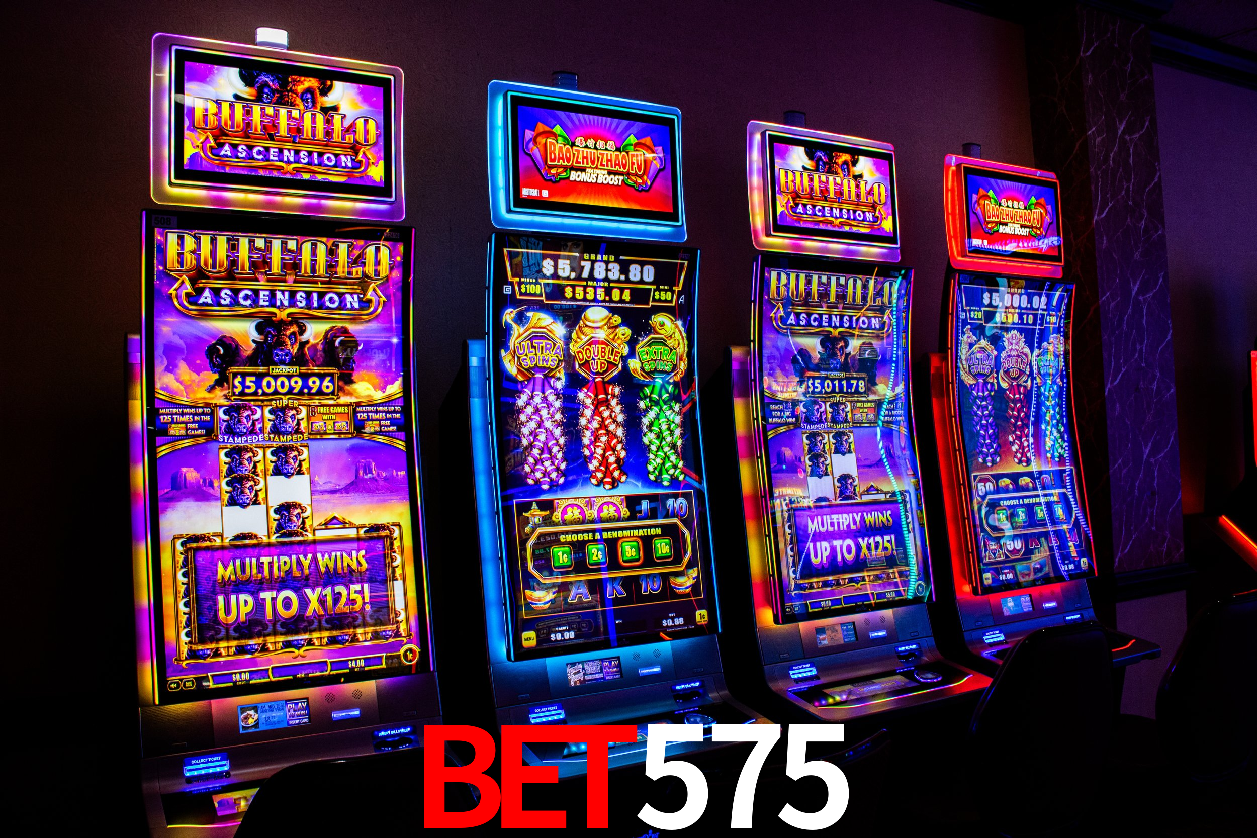 Descubra a Essência do bet575: Nossa História e Compromissos